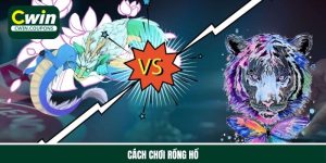 Cách chơi rồng hổ