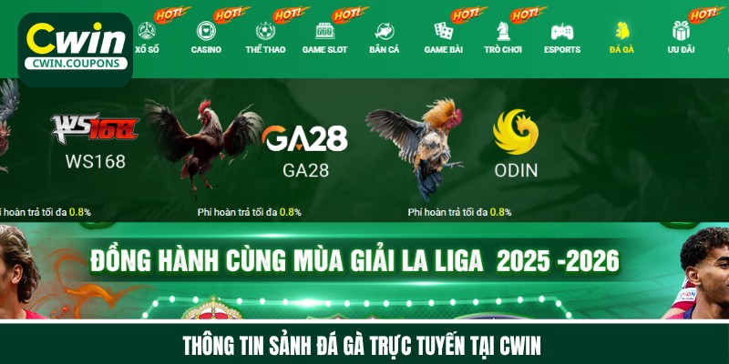 Hạng mục đá gà trực tuyến được Cwin tích hợp năm 2017
